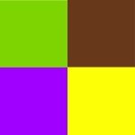 1:2 metal complex dyes